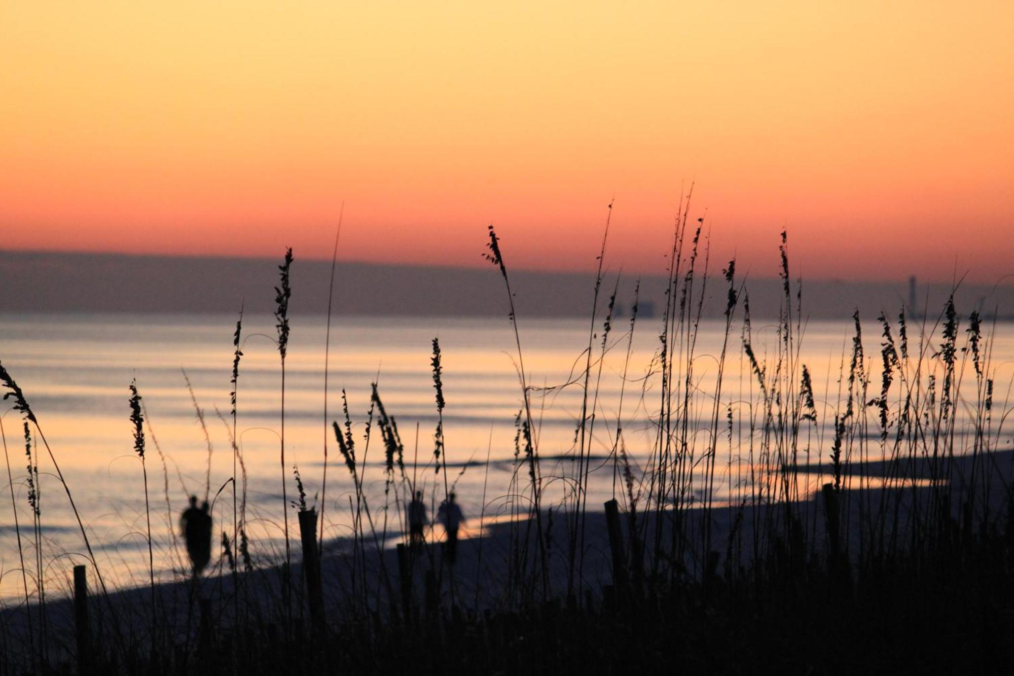 Ariel Dunes II 109 Destin Bagian luar foto